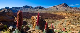 mount_teide